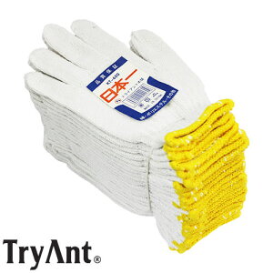 w@یR TryAnt gCAg R { 10 #KT-600 