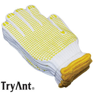 ~ߌR(rj{c) TryAnt gCAg ~ߎ {c 5og×10Zbg #KT-126  