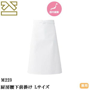 y[֑ΉzGv O|  jtH[ O  h@ KOEI ~[O| LTCY M223 HX jtH[ JtF Xg o[  \G  킢