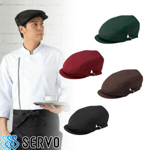 Xq  jtH[ BA1576 BA1577 BA1578 BA1579 T[H Servo jp  Vv JWA HX JtF Xg x[J[ p  킢 VbN _    