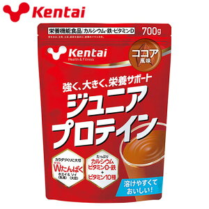 �T�v�������g ���N�H�i Kentai �P���^�C �W���j�A�v���e�C�� 700g K2203 �h�{�⏕�H�i �v���e�C��
