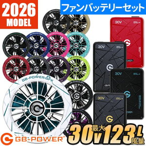 ���M�W���p�� �󒲍�ƕ� 2026 �t�@���o�b�e���[�Z�b�g GB-POWER �ŐV �V�� 30V 123L 15���������ۏ� ��ƒ� �t�@�� �o�b�e���[ EF�E�F�A GFX GFXS GB430 GB430PD GB430XPD ��ƕ� �t�� ���`�E���C�I���o�b�e