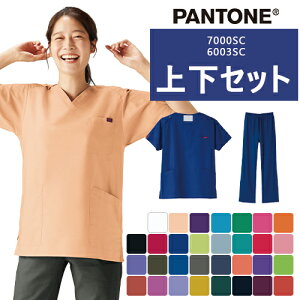 y[֑Ήz ㉺Zbg(7000SC+6003SC) XNu pc PANTONE pg FOLK jZbNX jp  t  Ōt i[X p lC  jtH[ a@   