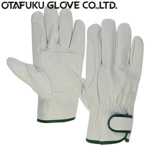 yv܁E܁z؊v ⋭Aet }WbN~ v [10o] i:R-24 iMELELLTCYj ӂ iƗp܁j }WbNt ؊v y ʋC 炩 w抴o悵 AEgh