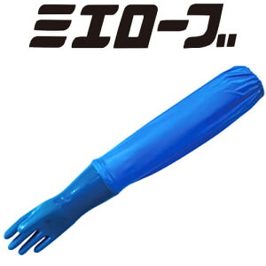 S rj[ OdwH nCubhO 804