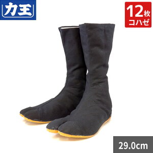 n ͉ y݌ɏz͉ t@C^[ 12Rn[ 29.0cm ͂^Cv cȂ