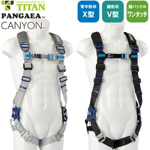 安全帯 タイタン TITAN サンコー フルハーネス 新規格 墜落制止用器具 PANGAEA CANYON キャニオン PACN-10A 単体 背中X型 V字 腿ベルト フルハーネス安全帯 ハーネス 一般 高所作業 柱上作業 建設工事