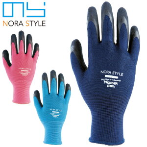 b ̂X^C NORA×WONDER 13GVRSw NSWG-310P VRS fB[X  _Əq d _ 