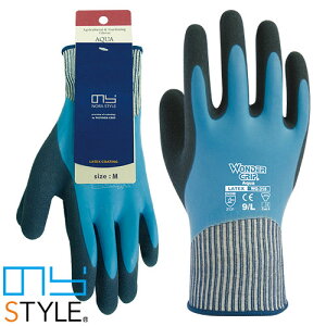 y[֑ΉẑX^C _[Obv ANA 1o NSWG-318 VRS