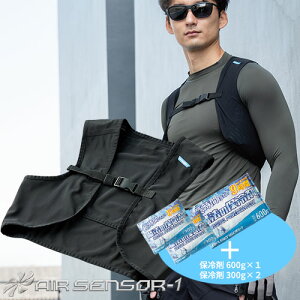 ۗ܃xXg N_} bVxXgۗ܁iۗ 600gEۗ 300g×2jZbg 26534-S ƒ ƕ t ۗܗpxXg ۗ܃|Pbg ʋC AIR SENSOR-1 Ci[