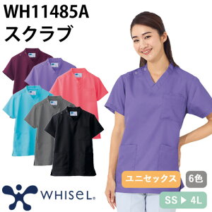 y[֑ΉzXNu   jZbNX jp  WH11485A d whisel zCZ t  Ōt i[X i[X C ×p lC p  jtH[ ₷