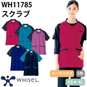 y[֑ΉzXNu   jZbNX jp  WH11785 d whisel zCZ t  Ōt i[X C ×p lC p Iy  jtH[   