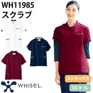 XNu   jZbNX jp  WH11985 d whisel zCZ t  Ōt i[X C ×p lC p Iy  jtH[  Vv   