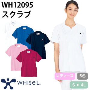 XNu   fB[X p  WH12095 d whisel zCZ t  Ōt i[X i[X C ×p lC p  jtH[ 킢  t@Xi[ 