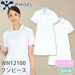 s[X  i[X WH12100  i[XEFA d whisel zCZ fB[X p ×p  jtH[ Ōt i[X a@ t GXe T  킢  