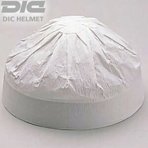 Xq y[p[nbg DICwbg Xq 100Zbg Hꌩw qp h