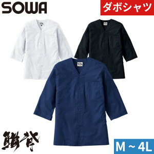 Ղpi Vc Ղ    Ε 㒅 Vc n Vv _{Vc Ka SOWA INASE Ղ čՂ ԉΑ ߑ l j  oX ݂  a 65011 ƕ ʔN 傫T