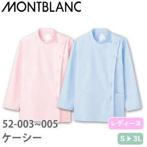 P[V[  WPbg 52-005E003  ݂Ȃ Zu fB[X p  t   Ōt i[X ×p ƗÖ@ w a@  㖱 f@  h K 