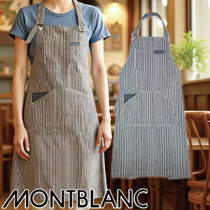 [[֑Ή]ăGv | Ԃ^Cv Zu Gv casualAP-02 Y fB[X  XgCv JWA v fj 100 HX  jtH[ Xg