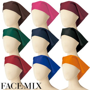  jtH[ FACEMIX tFCX~bNX Op FA9465 HX Xg JtF aHX  Ή ǂX  [  킢