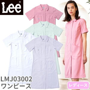 fBX s[X  i[X LMJ03002  i[XEFA Lee [ fB[X p ×p  jtH[ Ōt i[X a@ t GXe T lC  킢  