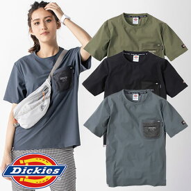 Tシャツ 半袖 ディッキーズ Dickies 半袖Tシャツ D-787 半袖Tシャツ