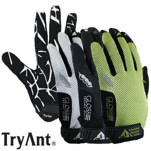 lHv TryAnt gCAg }JjbN }WbN 10o #718 Ǝ