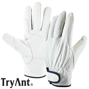 ؊v TryAnt gCAg ؊vNXg bV oh 10o #9200 v