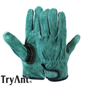 v(ICH) TryAnt gCAg vIC }WbN  10o #3288 v