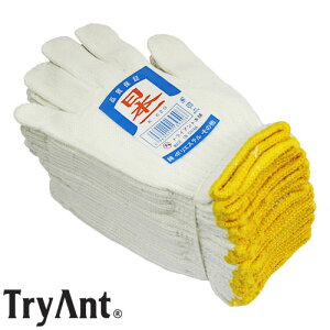 w@یR TryAnt gCAg R { 10 #K-620 