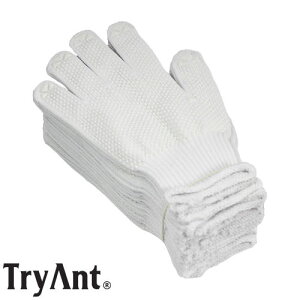 ~ߌR(rj{c) TryAnt gCAg hCu D 10og×10Zbg #KT-110  