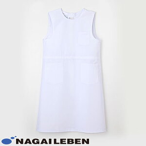 iKC[x PAKE NP-175 Gv  m p  jtH[ h~  킢