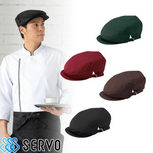 Xq  jtH[ BA1576 BA1577 BA1578 BA1579 T[H Servo jp  Vv JWA HX JtF Xg x[J[ p  킢 VbN _    