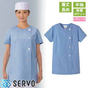    jtH[ FA799 T[H Servo   HX ~[  i aHX B     vdl a ĂȂ pܖij