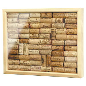 �R���N�{�[�h �i�ԁFZS123WD�y�R���N�� �R���N�V�����z