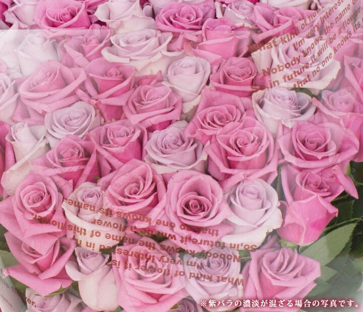 楽天市場 バラの花束 紫 パープル 好きな本数を選べます あす楽対応で12時まで当日発送します 土曜営業 誕生日 結婚記念日 50本 60本 108本 100本 成人式 母の日 父の日 本数指定 マミーローズ 楽天市場店