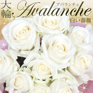 白 薔薇 花束の通販 価格比較 価格 Com