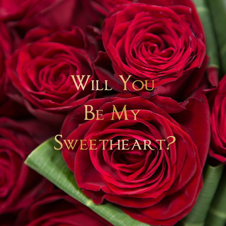 楽天市場 送料無料 バラの花束 ダーズンローズ 大輪赤 レッド 12本 薔薇 あす楽対応で12時まで当日発送します 土曜営業 誕生日 結婚記念日 クリスマス 成人式 バレンタイン 本数指定 マミーローズ 楽天市場店