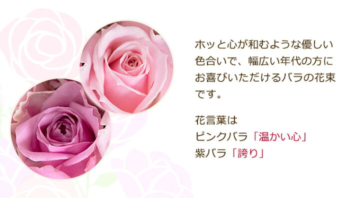 楽天市場 ピンクと紫の15本のバラの花束 紫 紫のバラ パープル ピンク クリスマス 成人式 バレンタイン 薔薇 ギフト 歓送迎会 結婚祝い 還暦祝い プロポーズ クラシックバレエ 花 指定日 宅配 あす楽 土曜営業 即日発送 マミーローズ 楽天市場店 楽天市場 ピンクと紫の15本のバラの花束 紫 紫のバラ パープル ピンク クリスマス 成人式 バレンタイン 薔薇 ギフト 歓送迎会 結婚祝い 還暦祝い プロポーズ クラシックバレエ 花 指定日 宅配 あす楽 土曜営業 即日発送 マミーローズ 楽天市場店