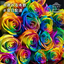 レインボーローズ 花束・切花 花・観葉植物 花・ガーデン・DIYの通販