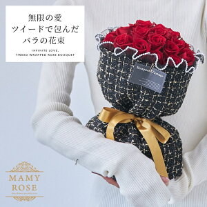 ̈ cC[hŕ񂾃ỏԑ a Mtg  ỏԑ yΉ12܂œ܂ LO  o^C v[g Mtg v|[Y