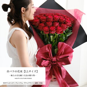 DȖ{Iׂ ԃỏԑyLLTCYzY  w\ aLOɔN̐v[g yjc a LO  o^C v[g Mtg v|