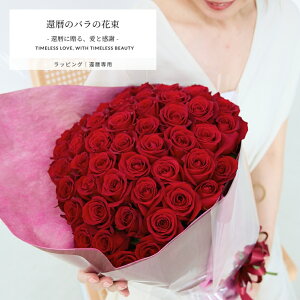 ỏԑ җ60{  yΉ12܂œ܂ yjc a LO  o^C v[g Mtg Ê 