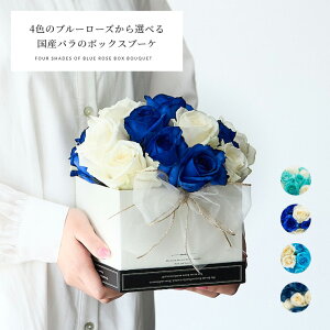 4F̃u[[YIׂ{bNXu[P  a Mtg  ỏԑ LO o^C v[g Mtg v|[Y