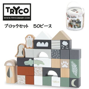 yMtgz ubNZbg 50s[X TRYCO TYTRY353001 gCR Wooden Block Set 50 piecesԂ xr[ DADWAY _bhEFC ؐߋ ؂̂ oYj Jt |bv xM[܂ 2