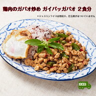 ガイパッガパオ 鶏肉のガパオ（タイバジル）炒め 2食分 ガパオ炒め ガパオライス タイ料理 エスニック 総…