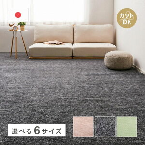 カーペット ラウム | 2畳 3畳 4.5畳 6畳 8畳 10畳 国産 日本製 敷物 ラグ ラグマット カットパイル ペット 犬 イヌ 猫 ネコ フリーカット タフトカーペット 平織り 敷き詰め 子供部屋 おしゃれ 北