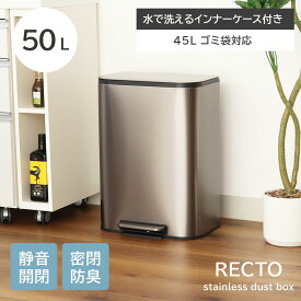 背面フラット 指紋が付きにくい 50L 50リットル ごみ箱 ダストボックス レクト | ゴミ箱 ごみばこ ステンレス ペダル式ゴミ箱 おしゃれ ペダル ふた付き ふた 蓋付き スリム キッチン 大型 縦型 シンプル 生ゴミ 大容量 袋 見えない 隠す 臭わない ツヤ消し スタイリッシュ