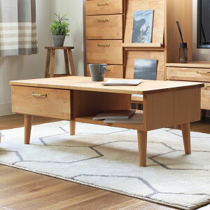 100cm Z^[e[u T | [e[u  e[u  jot [t [ 100 100 RpNg ЂƂ炵 R[q[e[u rOe[u A_[ k i`