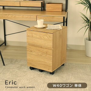 40cm LX^[t S GbN | fXNS wKS TChS LX^[S LX^[t TCh`FXg 2i TChS  I[vS fXN`FX